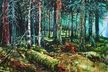 Tom Liekens - Waldeinsamkeit, 2011