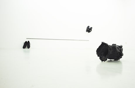 Maarten Van Roy - Untitled (" "), 2014