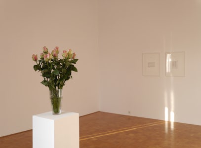 Edith Dekyndt - The Painter's Enemy, 2012