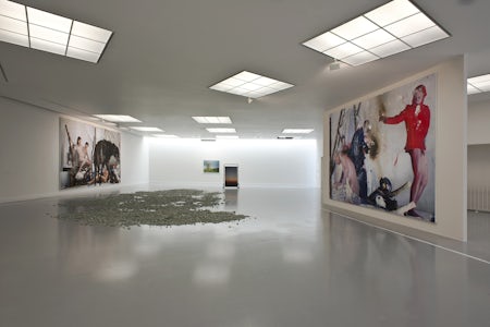Narcisse Tordoir - The Pink Spy (exhibition view), 2014