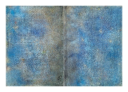 Cosmoses Cosmosis (Diptych)