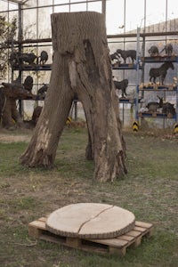 Drievuldigheidsboom, objet trouvé